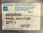 GM 92030036 Panel Main Fuse